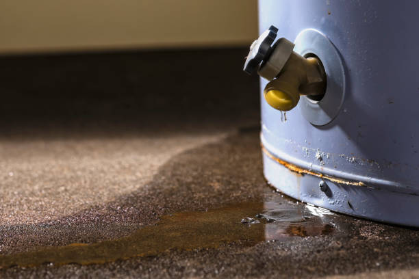 Best Flooded house restoration  in Dinuba, CA