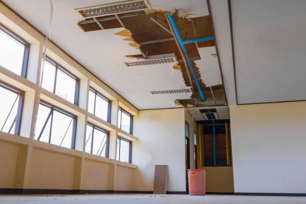 Best Basement water damage restoration  in Dinuba, CA