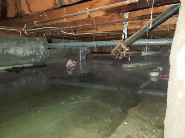Best Water damage restoration near me  in Dinuba, CA