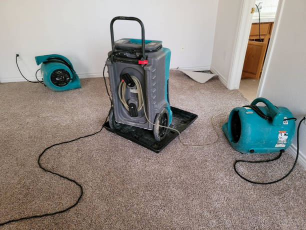 Water damage restoration experts in Dinuba, CA