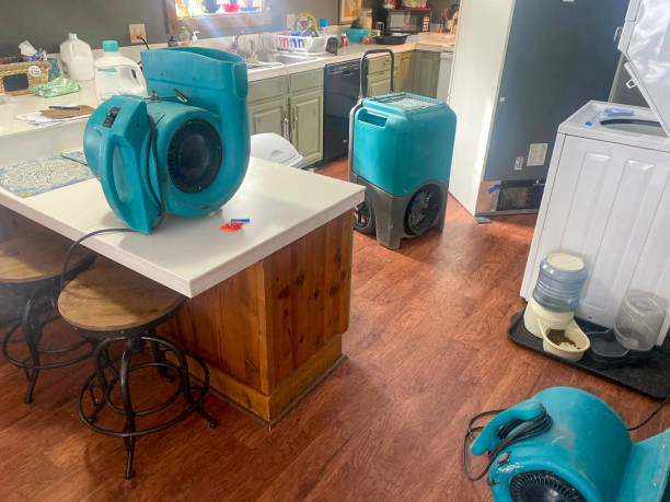 Best Professional water damage repair  in Dinuba, CA