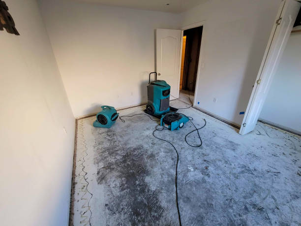 Best 24/7 water damage repair  in Dinuba, CA