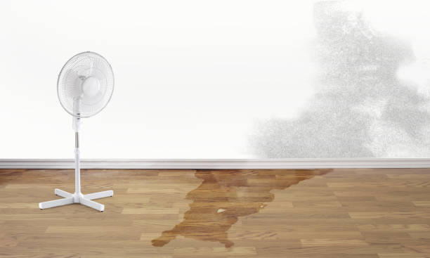 Trusted Dinuba, CA Water damage restoration Experts