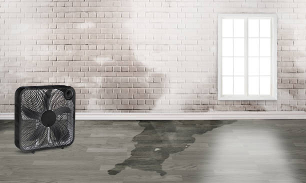 Best Fire Damage Restoration  in Dinuba, CA