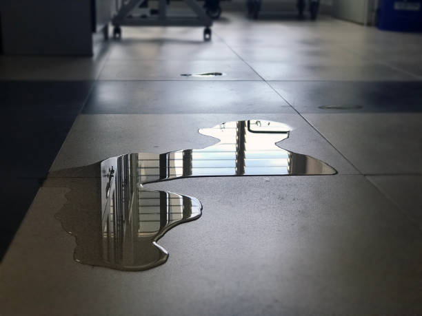 Best Commercial water damage restoration  in Dinuba, CA