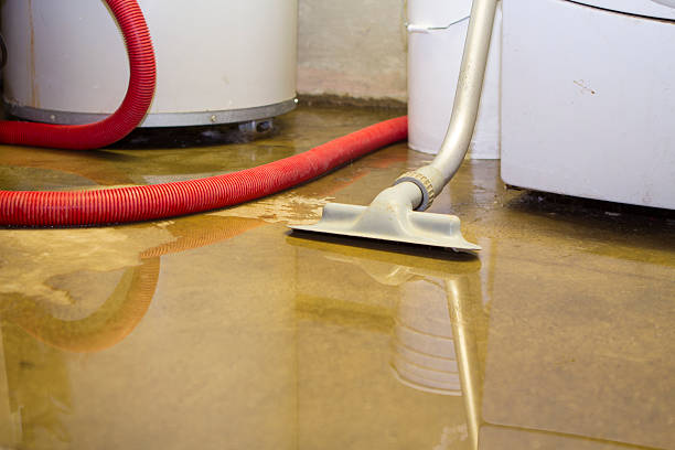 Best Flood restoration services  in Dinuba, CA