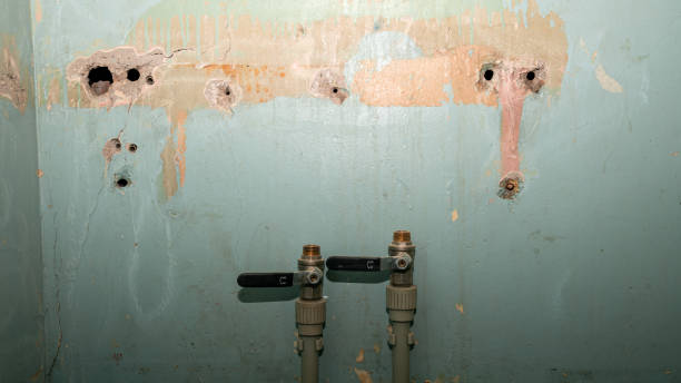 Best 24-hour water damage restoration  in Dinuba, CA