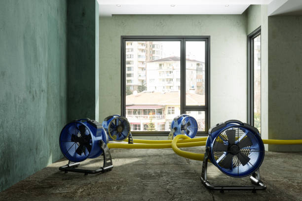 Best Flood damage cleanup  in Dinuba, CA