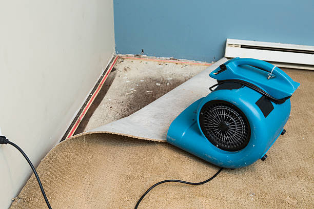 Best Carpet water damage restoration  in Dinuba, CA